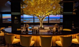 Cottonwood Hotel bar thumbnail